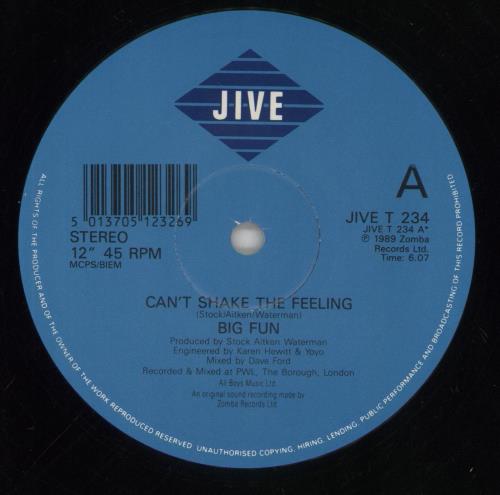 Big Fun Can't Shake The Feeling 12" vinyl single (12 inch record / Maxi-single) UK FUN12CA65499
