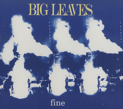 Big Leaves Fine CD single (CD5 / 5") UK BIVC5FI495600