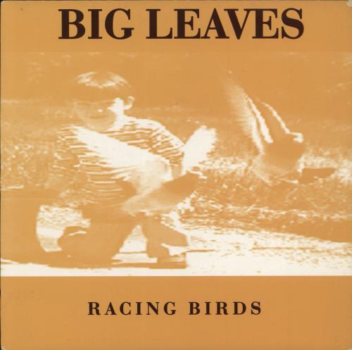 Big Leaves Racing Birds 7" vinyl single (7 inch record / 45) UK BIV07RA777260
