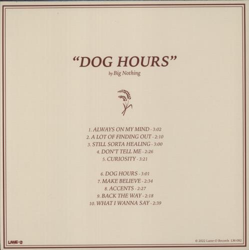 Big Nothing Dog Hours - Blue Vinyl vinyl LP album (LP record) US 9RQLPDO872207