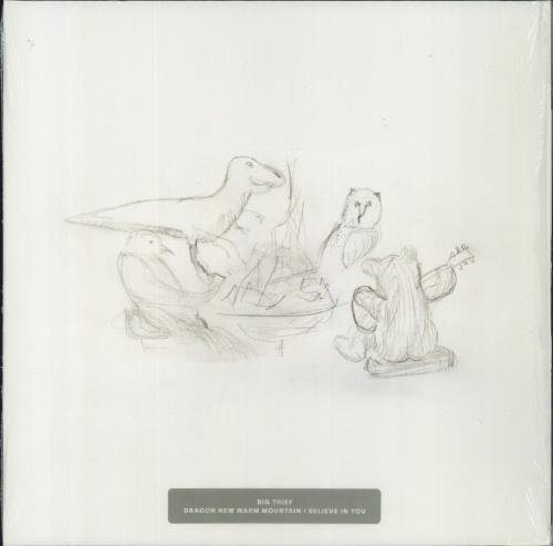 Big Thief Dragon New Warm Mountain I Believe In You 2-LP vinyl record set (Double LP Album) UK 49H2LDR832096