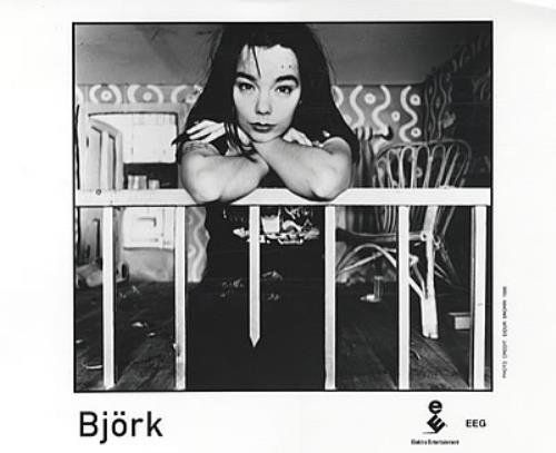 Bj�rk Homogenic media press pack US BJKPPHO335603