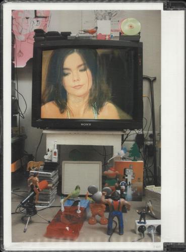 Bj�rk Unplugged / Live 'N' Loud DVD UK BJKDDUN201051