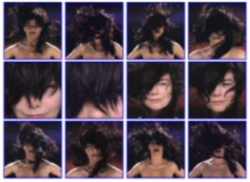 Bj�rk Vespertine box set UK BJKBXVE242917