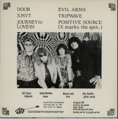 Blacklight Chameleons Blacklight Chameleons vinyl LP album (LP record) US E-JLPBL604836