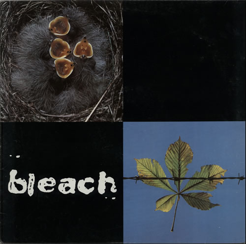Bleach Bleach vinyl LP album (LP record) German BLHLPBL628705