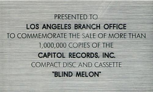 Blind Melon Blind Melon award disc US BDMAWBL492671