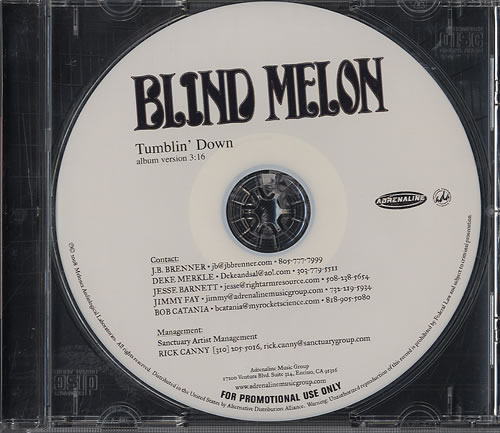 Blind Melon Tumblin' Down CD single (CD5 / 5") US BDMC5TU449961