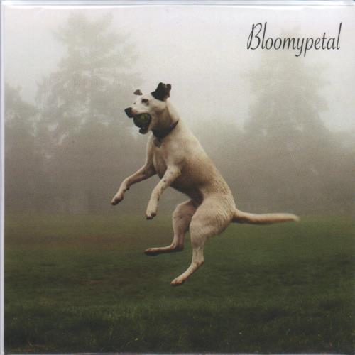 Bloomypetal Irish Jiggling / 1983 Squire - Clear Vinyl 7" vinyl single (7 inch record / 45) US O8W07IR683515