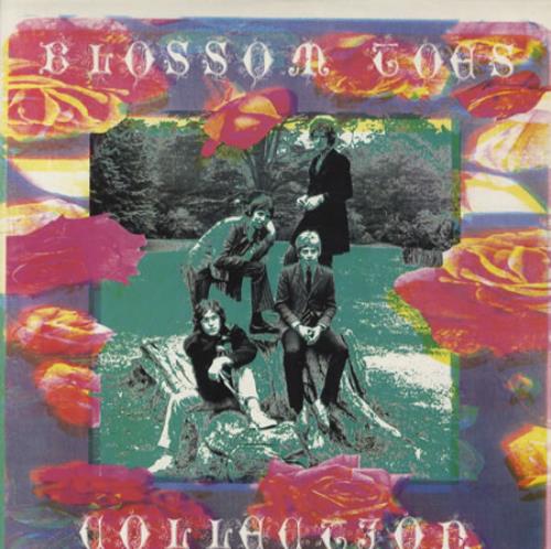 Blossom Toes Collection 2-LP vinyl record set (Double LP Album) UK BLT2LCO344247