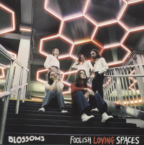 Blossoms Foolish Loving Spaces vinyl LP album (LP record) UK IWVLPFO771112