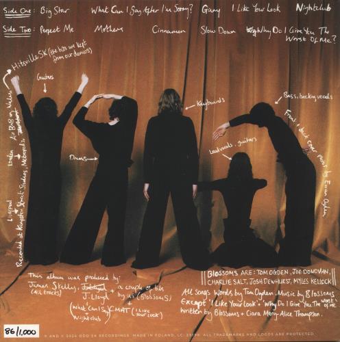 Blossoms Gary - Black & Orange colour-in-colour with White Splatter Vinyl vinyl LP album (LP record) UK IWVLPGA871802