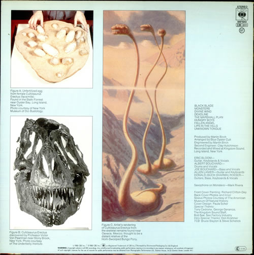 Blue Oyster Cult Cultosaurus Erectus vinyl LP album (LP record) UK BOCLPCU518379