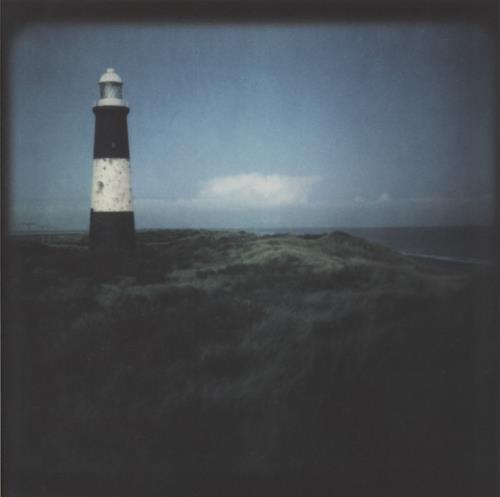 Blue Roses Blue Roses vinyl LP album (LP record) UK LU6LPBL886500