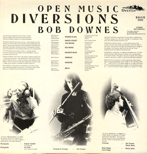 Bob Downes Diversions vinyl LP album (LP record) UK BD0LPDI559995