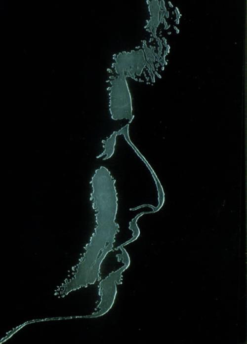 Bob Dylan The Bob Dylan Encyclopedia book UK DYLBKTH549692