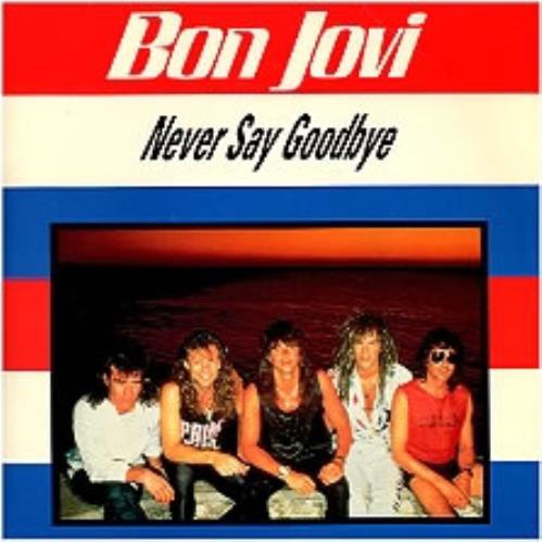 Bon Jovi Never Say Goodbye 7" vinyl single (7 inch record / 45) French BON07NE35684