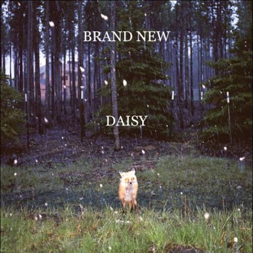 Brand New Daisy CD album (CDLP) UK BNUCDDA484087
