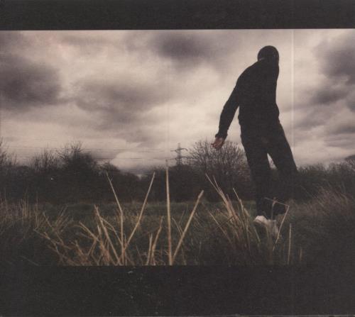 Brett Anderson Wilderness CD album (CDLP) UK BT8CDWI791438