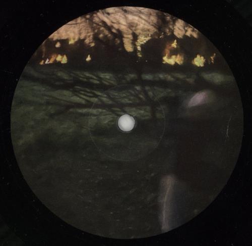 Brian Eno Secret Life vinyl LP album (LP record) UK ENOLPSE867969