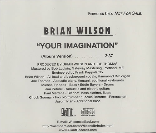 Brian Wilson Your Imagination CD single (CD5 / 5") US BWIC5YO119399