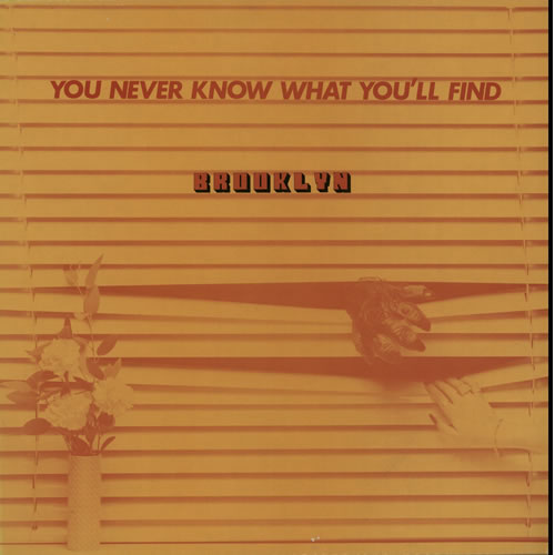 Brooklyn You Never Know What You'll Find vinyl LP album (LP record) UK BRKLPYO635665