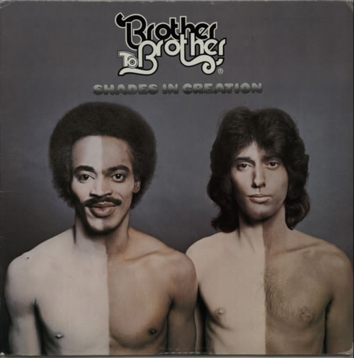 Brother To Brother Shades In Creation vinyl LP album (LP record) US EUWLPSH621760
