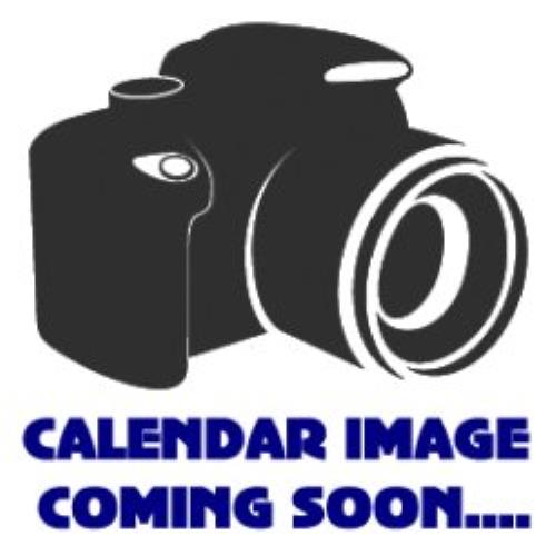 Bruce Springsteen Official Calendar 2010 calendar UK SPRCAOF476728