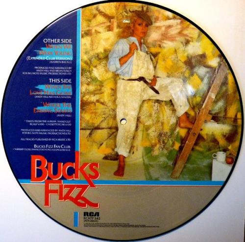 Bucks Fizz When Were Were Young 12" vinyl picture disc (12 inch picture record) UK BUC2PWH39794
