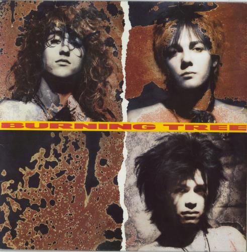 Burning Tree Burning Tree - EX vinyl LP album (LP record) UK BP9LPBU861123
