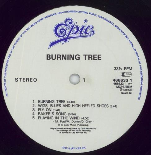 Burning Tree Burning Tree - EX vinyl LP album (LP record) UK BP9LPBU861123