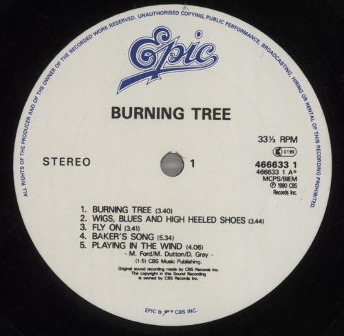 Burning Tree Burning Tree vinyl LP album (LP record) UK BP9LPBU420608