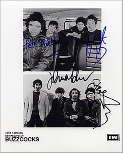 Buzzcocks Autographed Publicity Photograph photograph UK BUZPHAU261721
