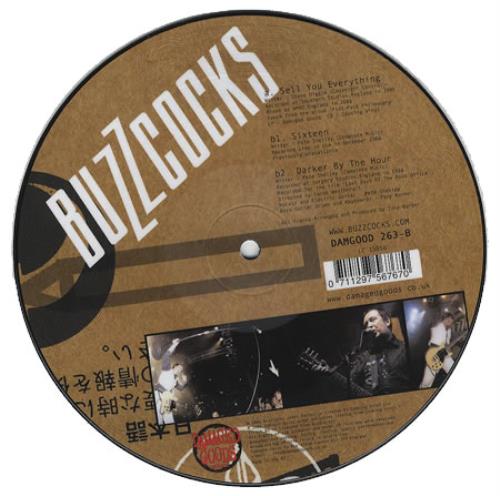 Buzzcocks Sell You Everything 7" vinyl picture disc (7 inch picture disc single) UK BUZ7PSE371238