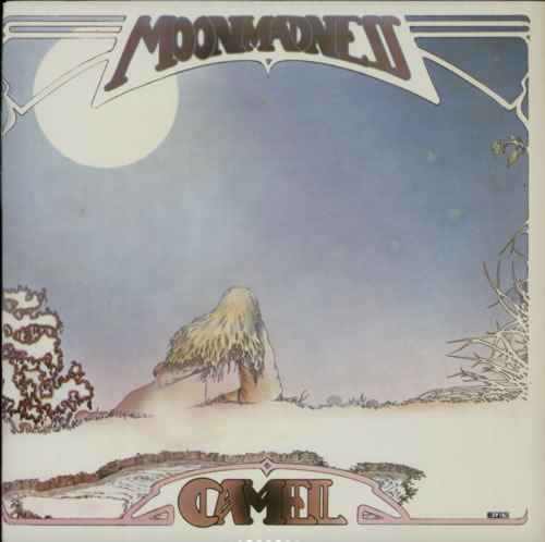 Camel Moonmadness vinyl LP album (LP record) US C-LLPMO603393