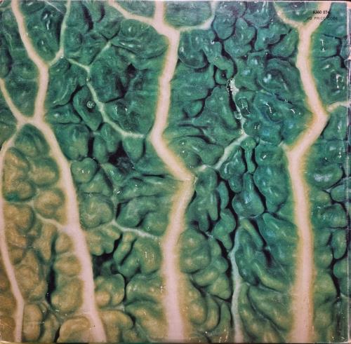 Catapilla Changes - Swirl Label vinyl LP album (LP record) UK CT2LPCH784453