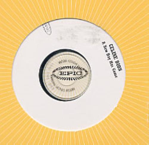 Celine Dion A New Day Has Come CD-R acetate US CELCRAN211677