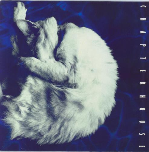 Chapterhouse Whirlpool-VG vinyl LP album (LP record) UK CHOLPWH799231