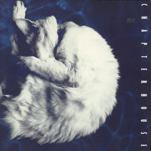 Chapterhouse Whirlpool vinyl LP album (LP record) UK CHOLPWH380847