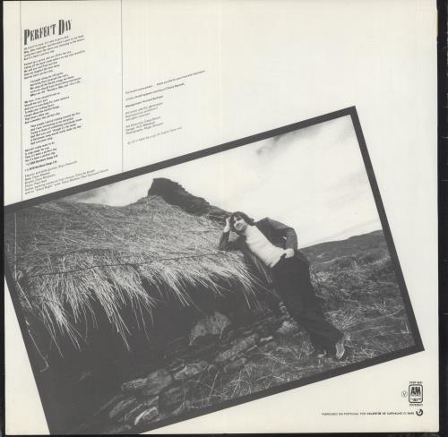 Chris De Burgh At The End Of A Perfect Day vinyl LP album (LP record) Portuguese BURLPAT869169