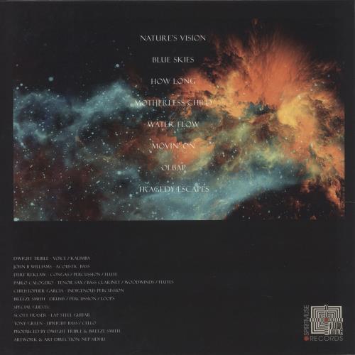 Cosmic Vibrations Pathways & Passages vinyl LP album (LP record) UK 95ZLPPA875943