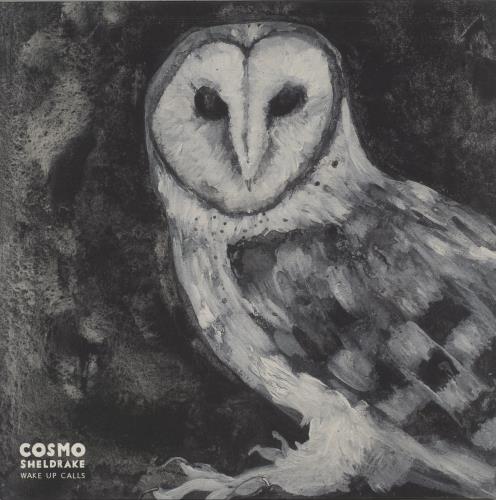 Cosmo Sheldrake Wake Up Calls vinyl LP album (LP record) UK 9S-LPWA869618