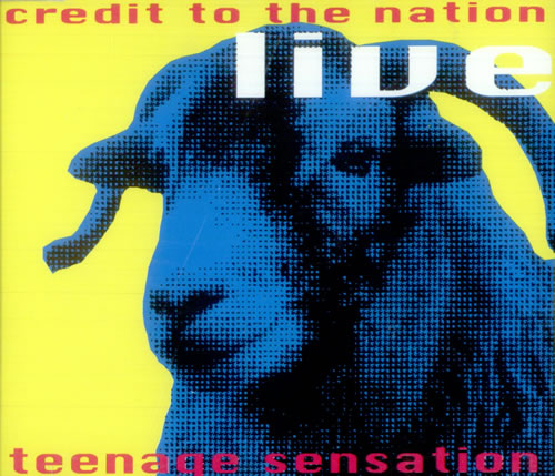 Credit To The Nation Teenage Sensation 2 CD album set (Double CD) UK CBV2CTE519836