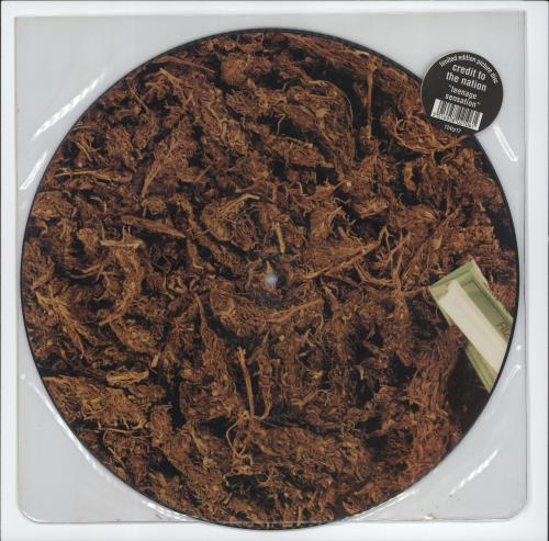 Credit To The Nation Teenage Sensation 12" vinyl picture disc (12 inch picture record) UK CBV2PTE705163