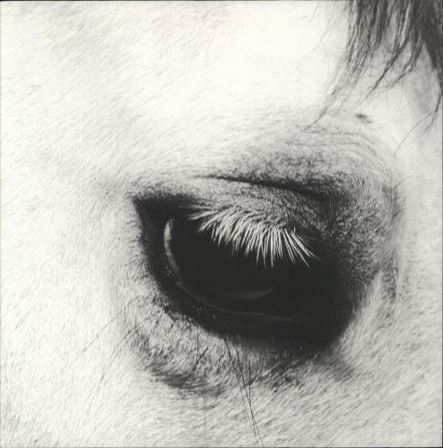 Creepoid Horse Heaven - White Vinyl vinyl LP album (LP record) US 3RYLPHO882212