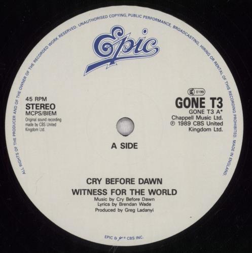 Cry Before Dawn Witness For The World 12" vinyl single (12 inch record / Maxi-single) UK CBD12WI844370