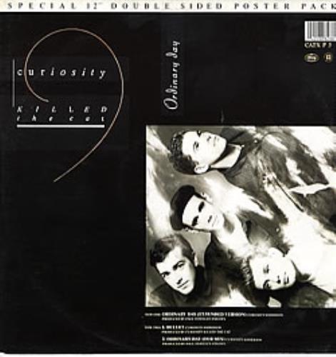 Curiosity Killed The Cat Ordinary Day - Poster Sleeve 12" vinyl single (12 inch record / Maxi-single) UK CAT12OR116098