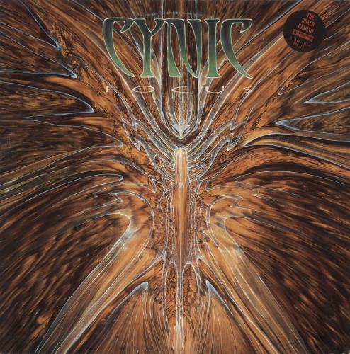 Cynic Focus - 1st - G vinyl LP album (LP record) Dutch G6NLPFO887291