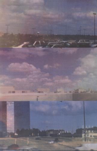 Dark Dark Dark Wild Go + Poster vinyl LP album (LP record) US 1E1LPWI744917