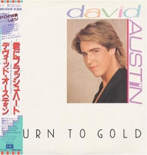 David Austin Turn To Gold 12" vinyl single (12 inch record / Maxi-single) Japanese DAU12TU170942